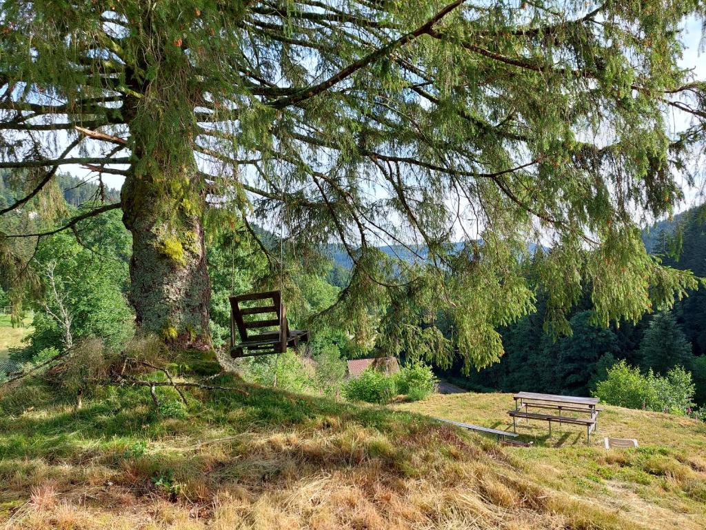 Le Refuge perché du saut de la bourrique SPA Gérardmer