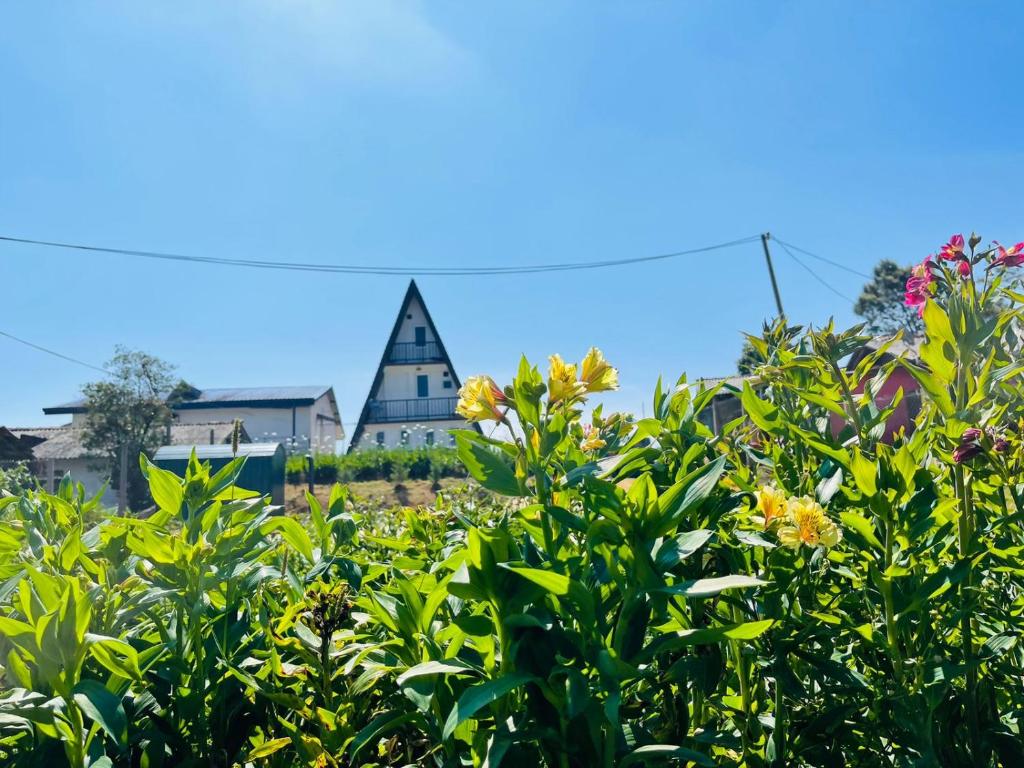 Green Valley Cabin Nuwara Eliya