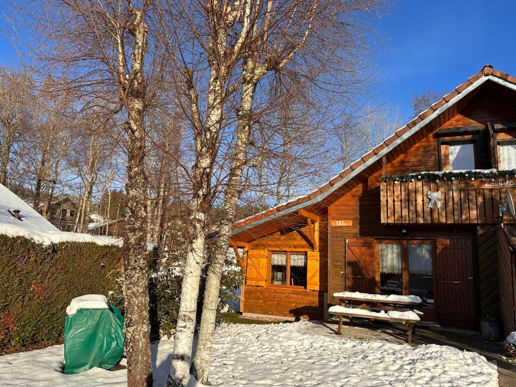 Chalet CHLOE - jusque 6 pers - Xonrupt Longemer