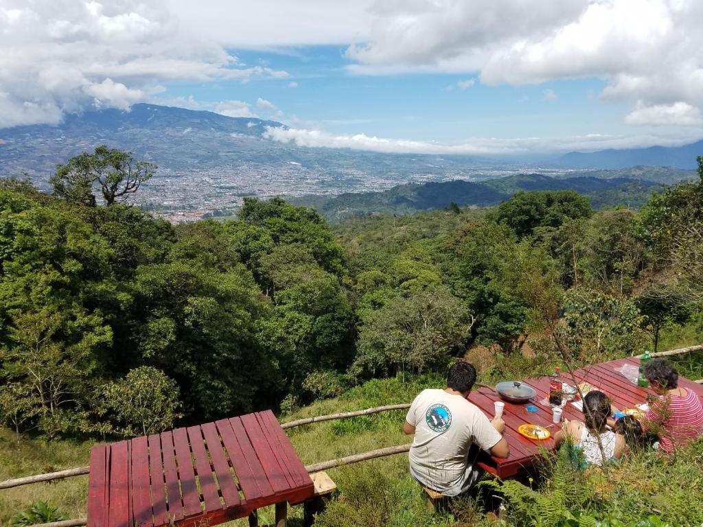 Escapadita al Bosque