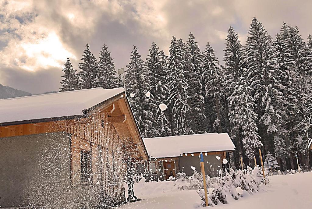 Best Cabin Rentals in Austrian Alps, Austria - bestcabinsrentals.com