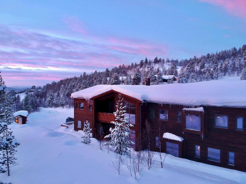 Bjørnfjell Mountain Lodge